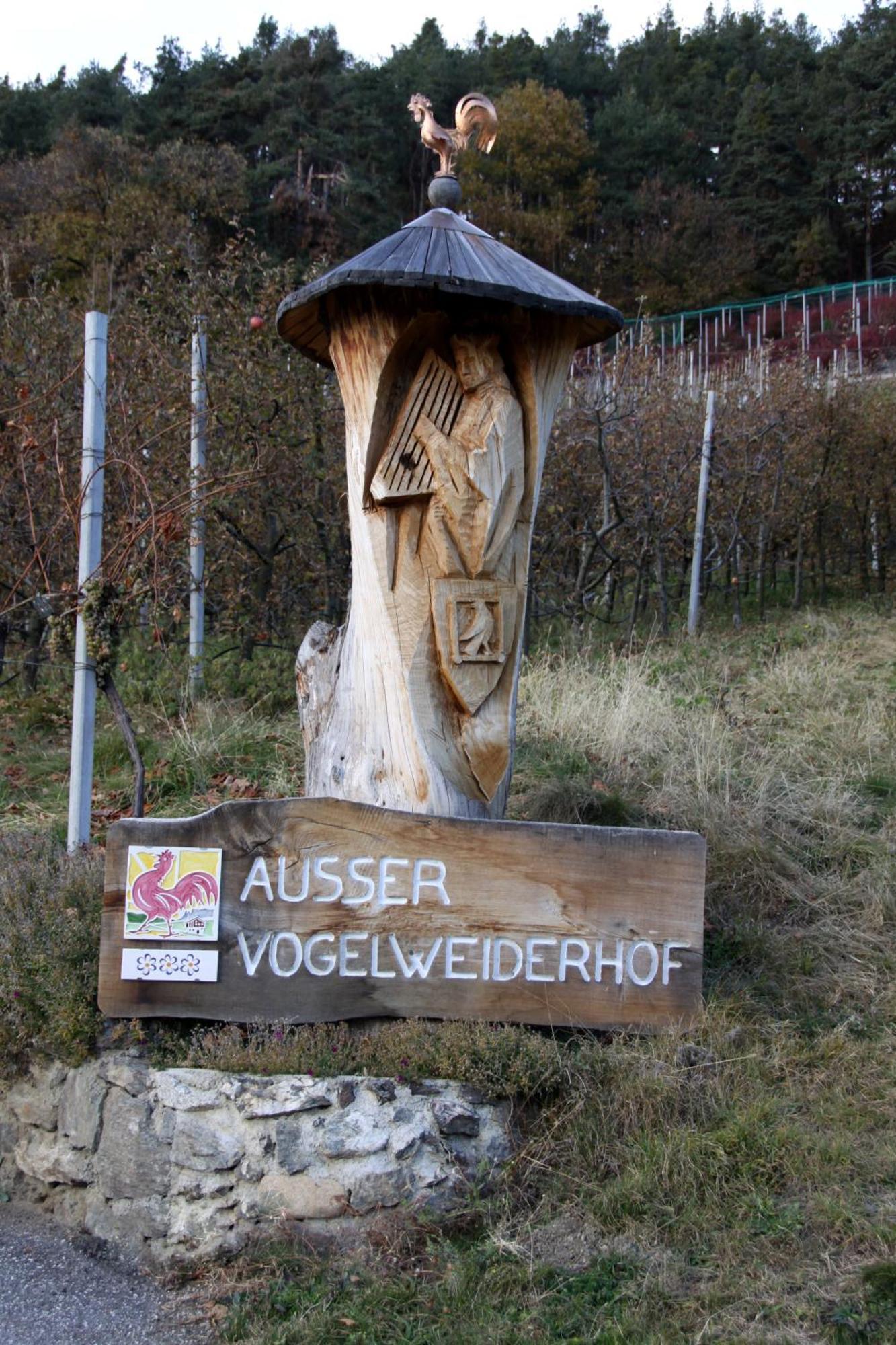 Ausservogelweiderhof Laion Exterior foto